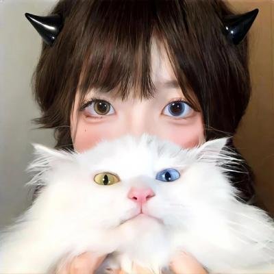 人皮脸